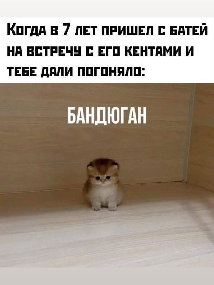 Подборка мемов 👉🏻👉🏻👉🏻 — 8/10