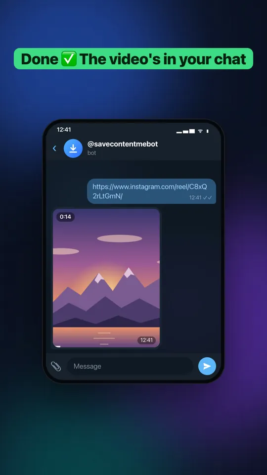 The bot sent the video for a Reels link